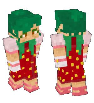 minecraft skin of the previous image!